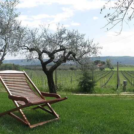 Lantgård Agriturismo Olivuccia